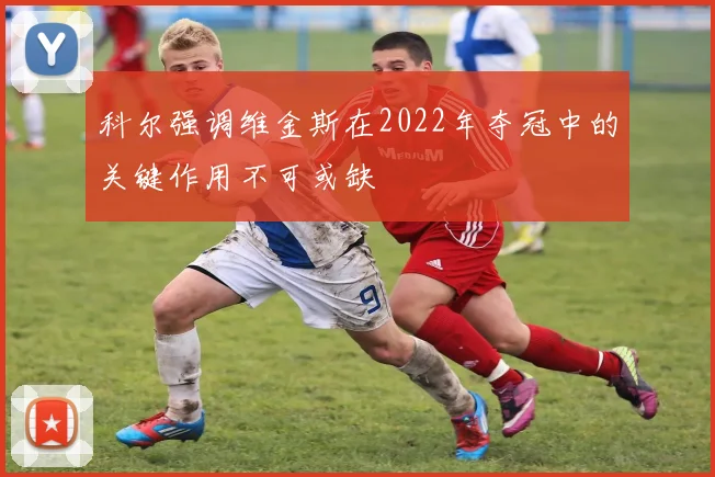 科尔强调维金斯在2022年夺冠中的关键作用不可或缺