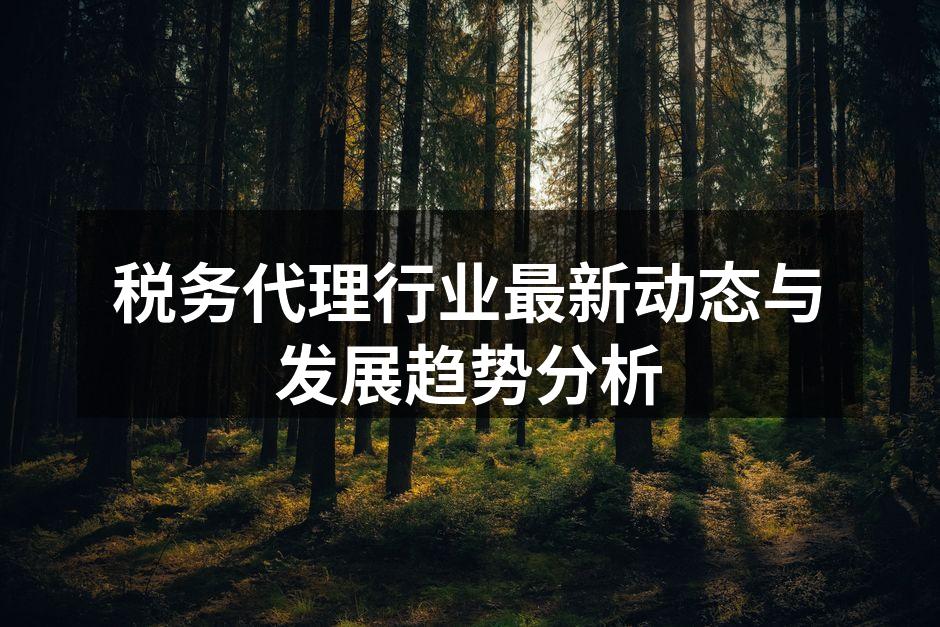 税务代理行业发展图