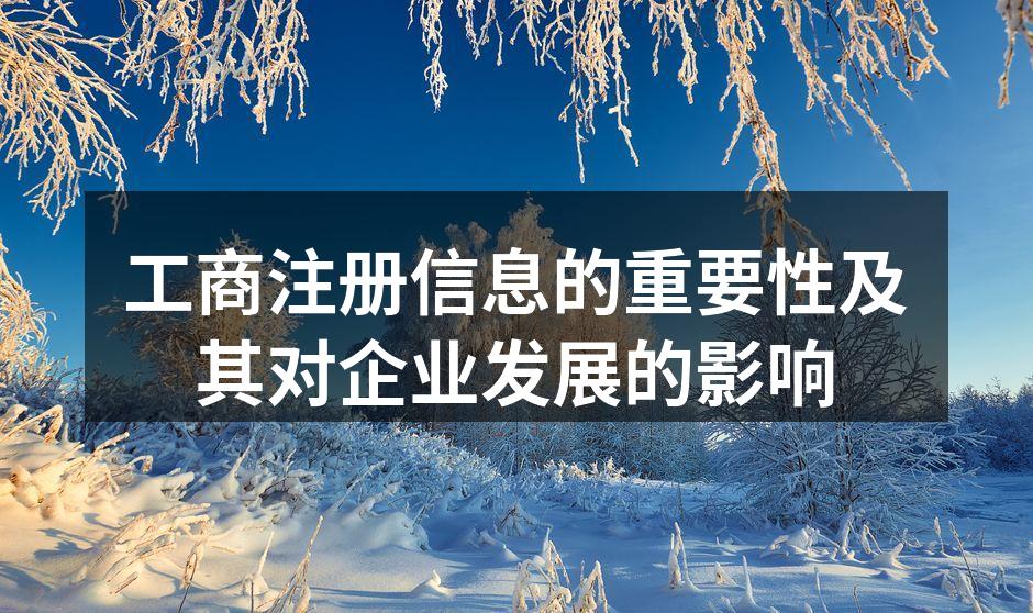 工商注册信息的重要性及其对企业发展的影响