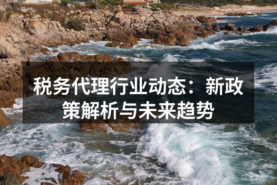 税务代理行业动态：新政策解析与未来趋势