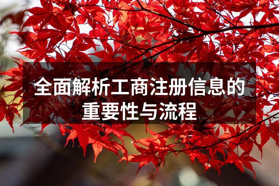 全面解析工商注册信息的重要性与流程