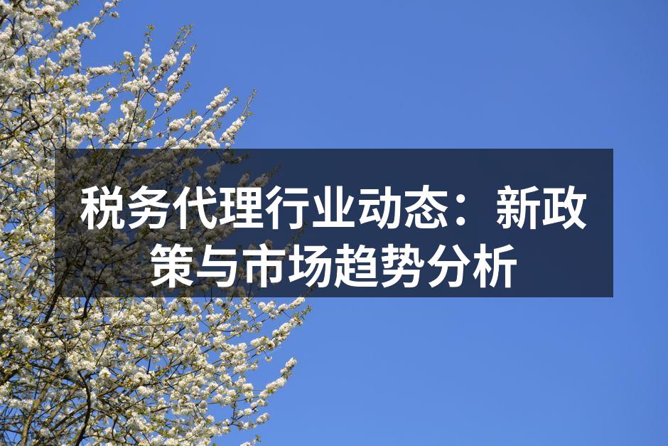 新政策解读与分析
