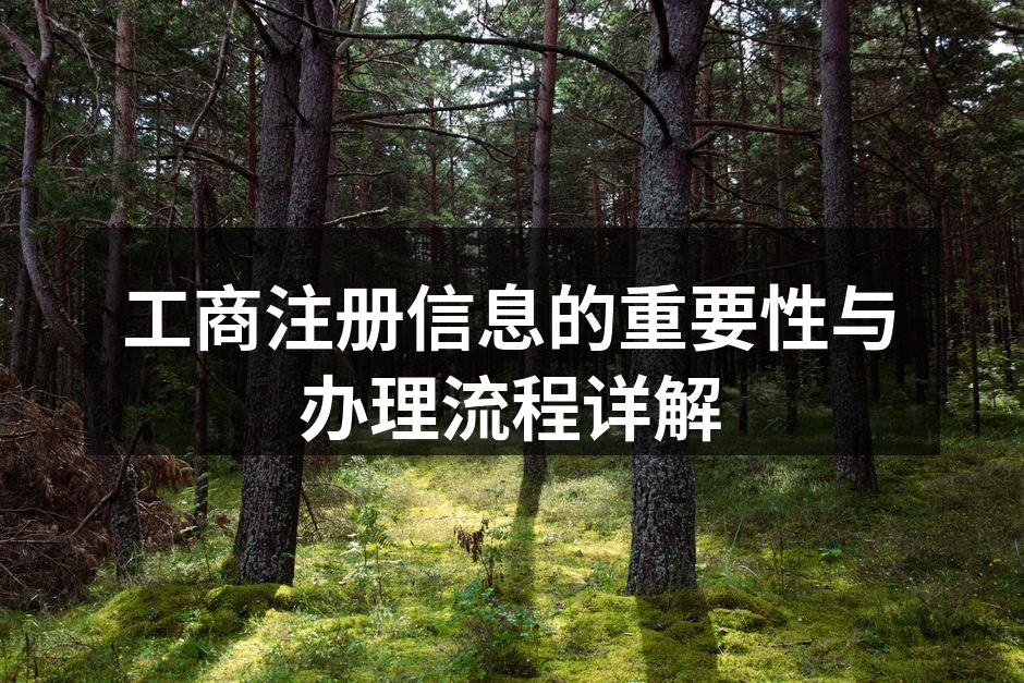 工商注册流程示意图