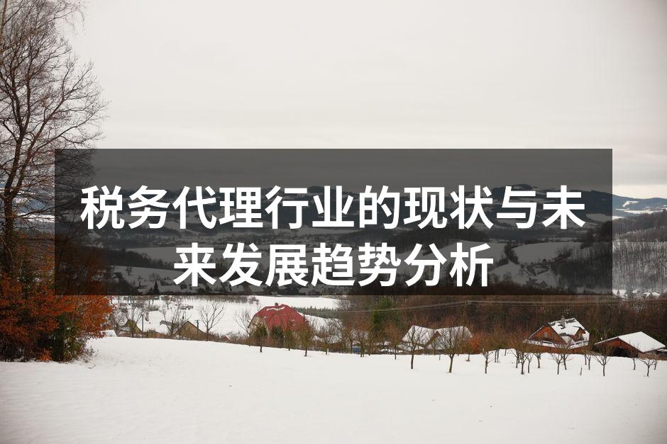 税务代理服务现场