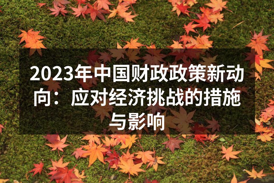 2023年中国财政政策新动向：应对经济挑战的措施与影响